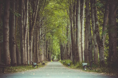 Podcast the road ahead